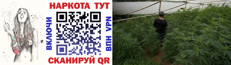 Где можно купить наркотики Назрань Cocaine Мефедрон Галлюциногенные грибы Героин АМФ Каннабис