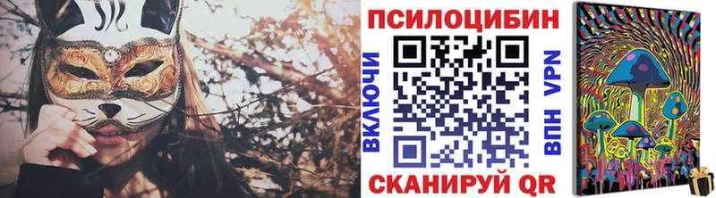 где купить наркотик  Назрань  Галлюциногенные грибы Cubensis 